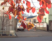 ʹ��������������á��عⲹ�����ķ������㾫����Ƭ